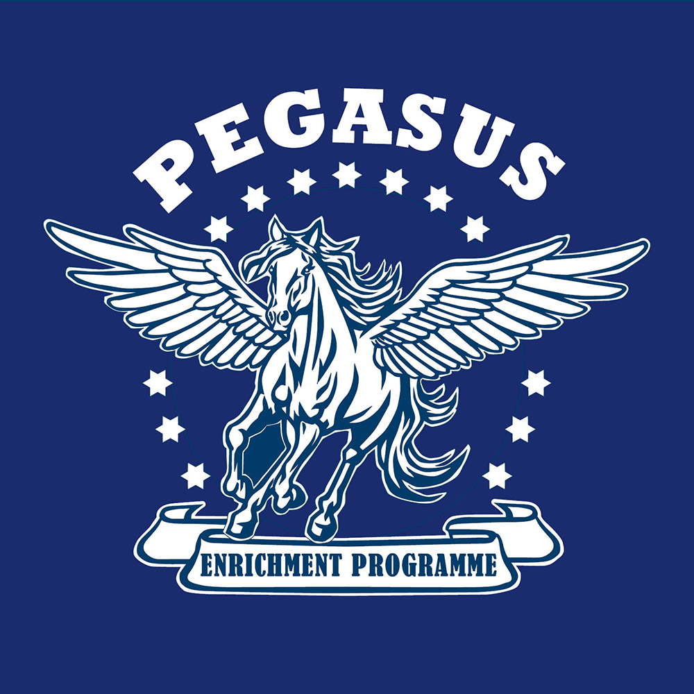 Pegasus Enrichment Programme